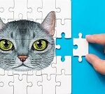 Abyssinian Puzzle Challenge