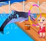 Baby Hazel Dolphin Tour