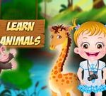 Baby Hazel Learn Animals