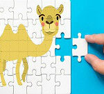 Bactrian Camel Puzzle Challenge