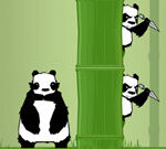 Bamboo Panda