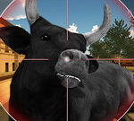 Bull Shooting