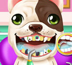 Crazy Animals Dentist