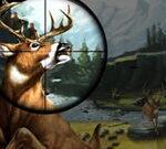 Deer Hunter