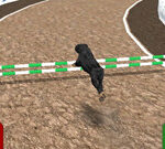 Dog Racing Simulator 3D