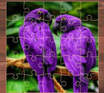 Exotic Animals Jigsaw