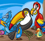 Exotic Birds Coloring