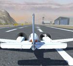 Free Flight Sim