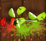 Fruit Ninja