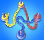 Go Knots 3D