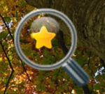 Hidden Gold Stars