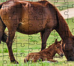 Jigsaw Puzzle Domesticated Animals