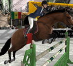 Jumping Horse 3D