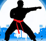 Karate Fighter Real Battle