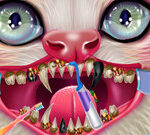 Kitty Dental Caring