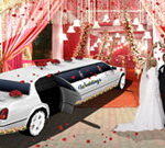 Luxury Wedding Limousine Car