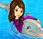 My Dolphin Show