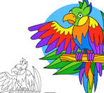 Parrot Pal Coloring