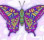 Pretty Butterfly Coloring