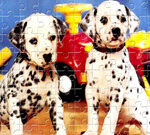 Puppy Pairs Puzzle