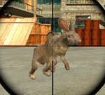 Rabbit Shooter