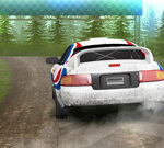 Rally Champion