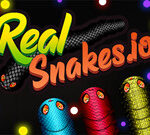 Real Snakes.io