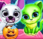 Scary Makeover Halloween Pet Salon