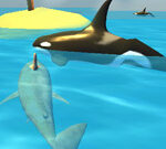 Shark Simulator