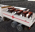 Truck Transport Domestic Animals