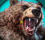 Wild Bear Hunting Game