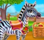 Zebra Caring